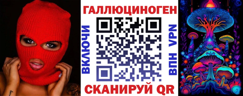 mega   Кяхта  Псилоцибиновые грибы Psilocybine cubensis 